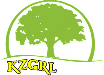 kzgrl logo